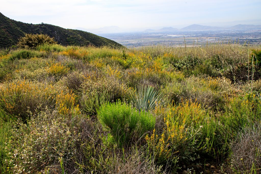 View of Rancho Cucamonga in Southern California from the Etiwanda Falls Trail