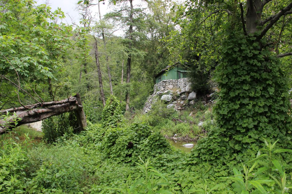 Shows cabins located along the trail