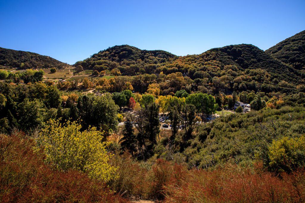 View of an apple farm and trees