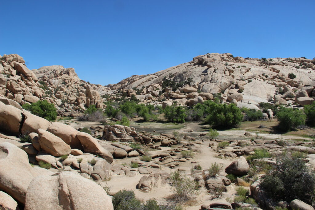 Old dam in Joshua Tree