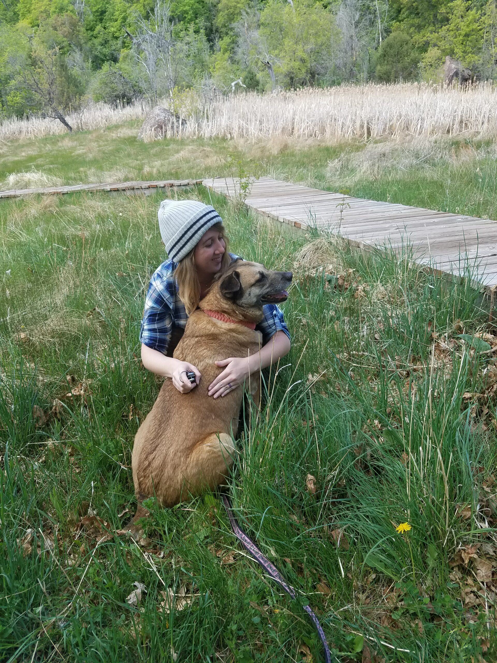 Girl and her large brown dog in a grass field