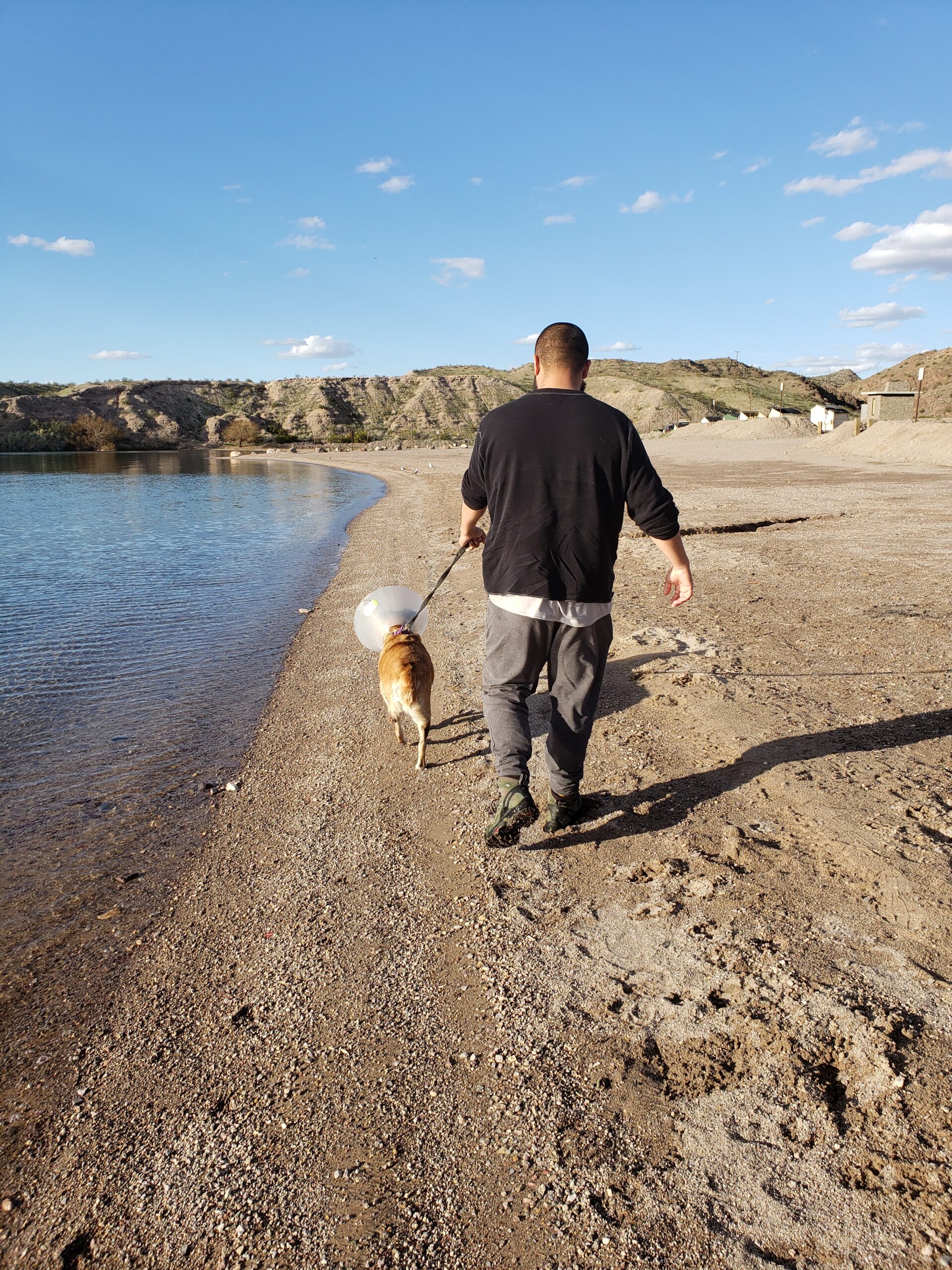 Man Walks his dog along a lake