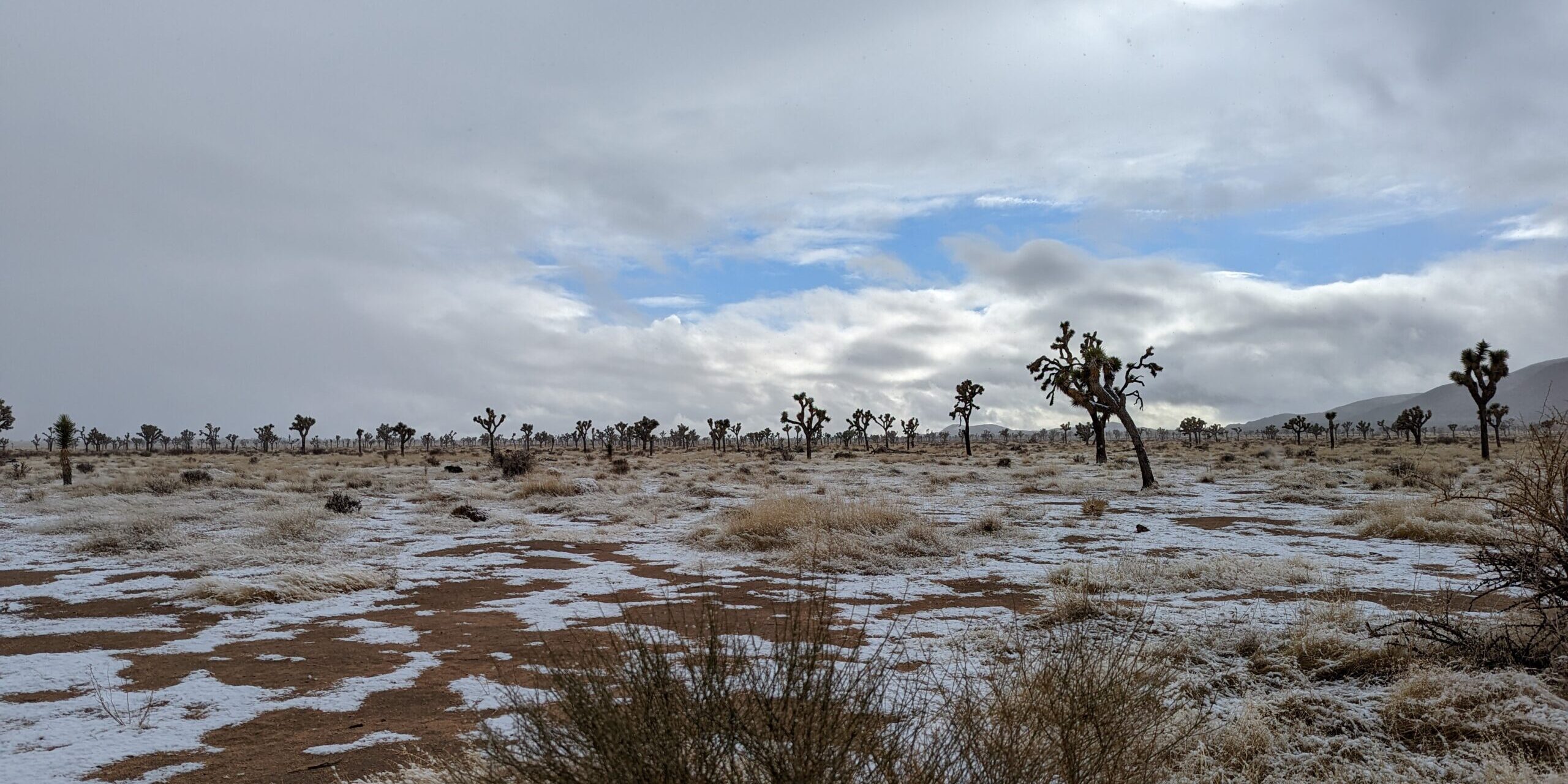 Hiking joshua tree in december best sale